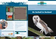 Download - Landschapsbeheer Zeeland