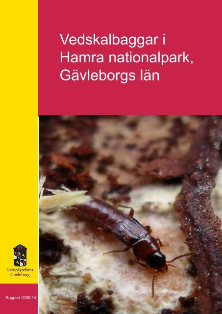 Vedskalbaggar i Hamra nationalpark, Gävleborgs ... - Länsstyrelserna