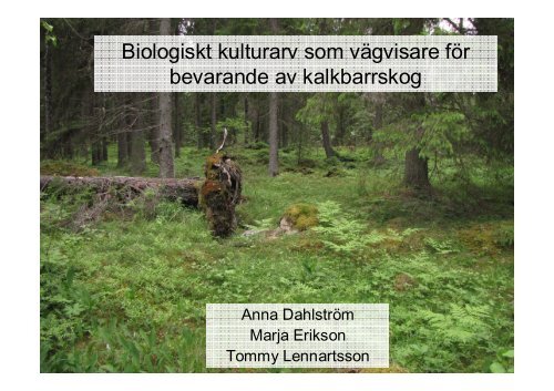 Biologiskt kulturarv som vägvisare för bevarande av kalkbarrskog