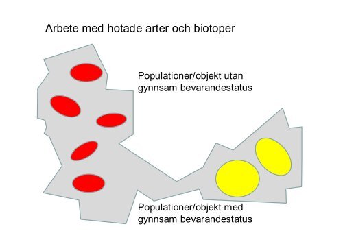 Biologiskt kulturarv som vägvisare för bevarande av kalkbarrskog