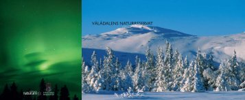Vålådalens naturreservat - Länsstyrelserna