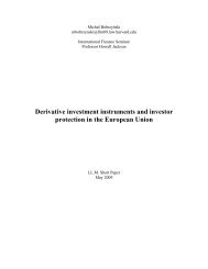 Derivative Investment Instruments and Investor Protection in the ...