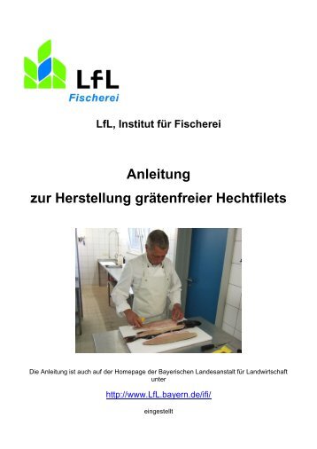 Anleitung zur Herstellung grätenfreier Hechtfilets - Bayerische ...