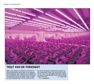 Teelt van de toekomst (Deliscious) - Philips