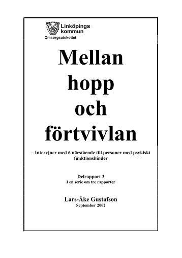 2002 Mellan hopp och förtvivlan - delrapport 3 - Linköpings kommun