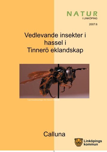 Skalbaggar i hassel - Linköpings kommun