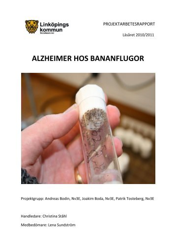 Alzheimer hos bananflugor