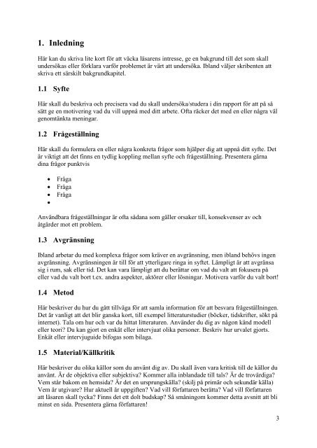 Rapportskrivningsmall SA (PDF, 172 kB)