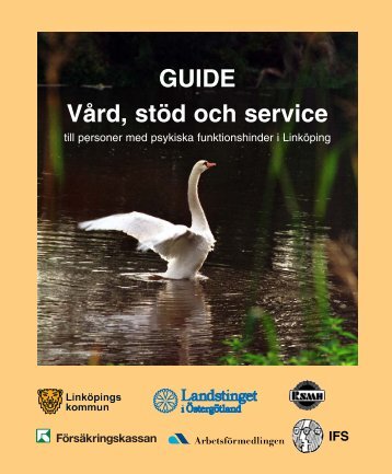 GUIDE Vård, stöd och service - Landstinget i Östergötland