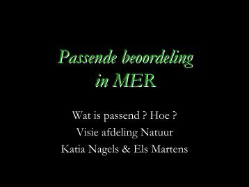 Presentatie passende beoordeling in ... - Lne.be