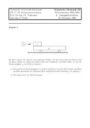 Technische Universität Darmstadt Technische Mechanik III FB 13 ...