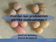 Hvordan kan produsenten påvirke skallkvaliteten ?