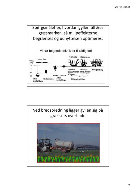 Græs er velegnet til at modtage gylle