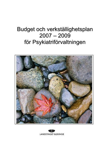 Budget oc hh verkställighetsplan 2007 – 2009 för ...