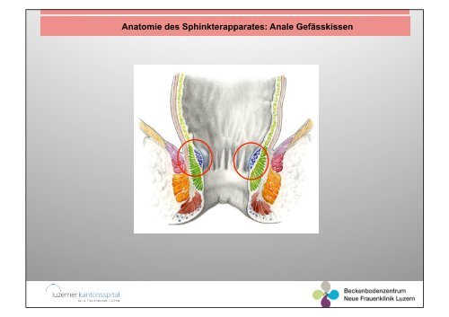 Nahtkurs höhergradiger Dammrisse