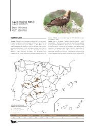 Águila Imperial Ibérica - Ministerio de Agricultura, Alimentación y ...