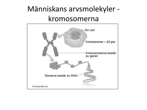 OH föreläsning 5 (pdf-version)