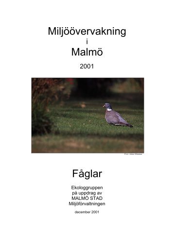 Fåglar, miljöövervakning i Malmö.pdf - Malmö stad