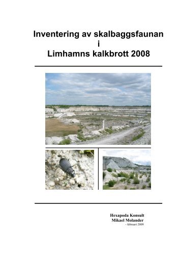 Inventering av skalbaggsfaunan i Limhamns kalkbrott ... - Malmö stad