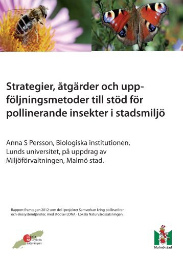 Rapport om pollinatörer - Malmö stad