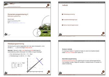 Dynamisk programmering II - Matematik og optimering