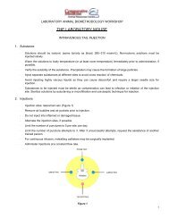 Module 6 Mouse Intravenous Injection Workshop Handout