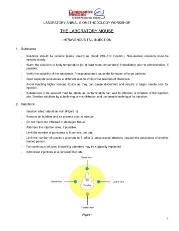 Module 6 Mouse Intravenous Injection Workshop Handout