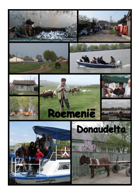 roemenie2010_kd - Mergus