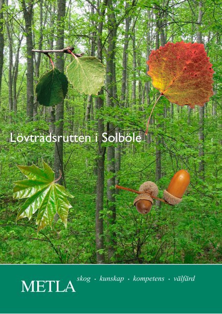 Lövträdsrutten i Solböle - Metsäntutkimuslaitos