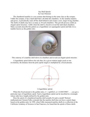 Sea Shell Spirals by Ivars Peterson The chambered nautilus is a sea ...