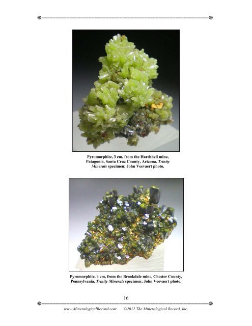 What's New in the Mineral World? - The Mineralogical Record