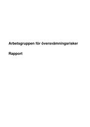 Arbetsgruppen för översvämningsrisker Rapport