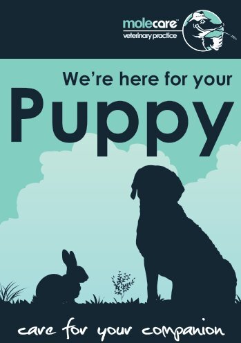 Puppy We're Here For Your - Mole Valley Farmers