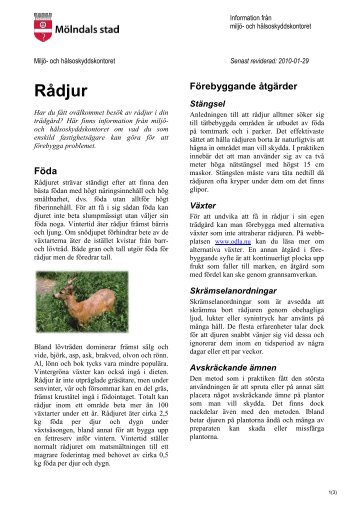 Rådjur - Mölndal