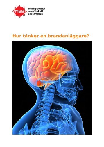 Hur tänker en brandanläggare? - Myndigheten för samhällsskydd ...