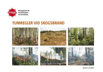 Tumregler vid skogsbrand - Myndigheten för samhällsskydd och ...