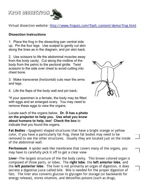virtual frog dissection interactive virtual frog dissection interactive