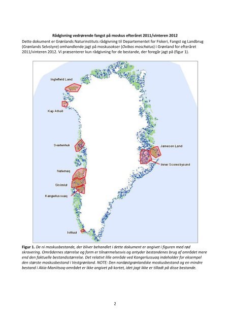 2011-12 Fangstrådgivning for moskusokser - Grønlands Naturinstitut