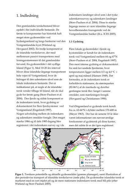 Nr. 63 -Den Atlantiske torsk i de grønlandske farvande 2005