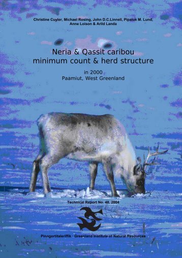 Neria & Qassit caribou minimum count & herd structure