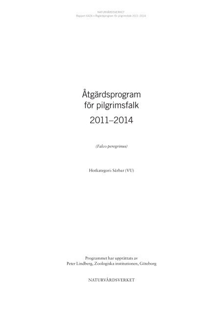 Åtgärdsprogram för pilgrimsfalk 2011–2014 - Naturskyddsföreningen