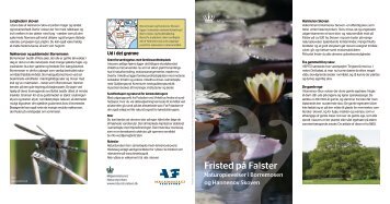 Fristed på Falster - Naturstyrelsen