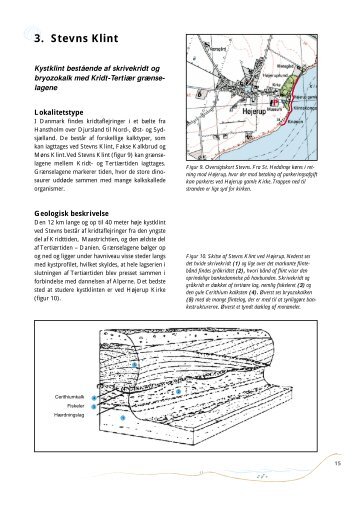 3. Stevns Klint - Naturstyrelsen