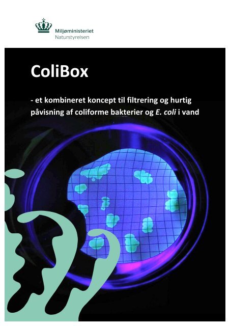 ColiBox - et kombineret koncept til filtrering og ... - Naturstyrelsen