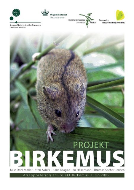 Projekt Birkemus - Naturstyrelsen