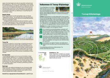 Velkommen til Tvorup Klitplantage Tvorup ... - Naturstyrelsen