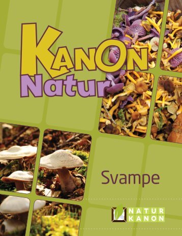 "Kanon Natur - svampe" som pdf - Danmarks Naturfredningsforening