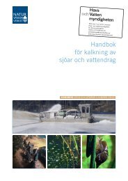 Kalkning av sjöar och vattendrag ISBN: 978-91 ... - Naturvårdsverket