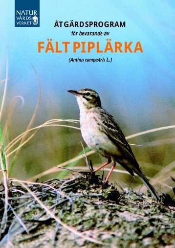 FÄLTPIPLÄRKA - Naturvårdsverket