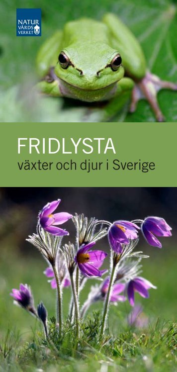 Fridlysta växter och djur i Sverige ISBN: 978-91 ... - Naturvårdsverket